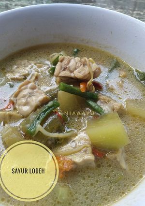 Foto resep #21 Sayur Lodeh