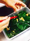 Edible Herb 'Shiso' - Shiso Soy Sauce Marinade