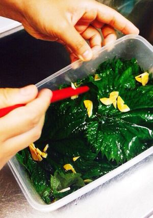 A picture of Edible Herb 'Shiso' - Shiso Soy Sauce Marinade.