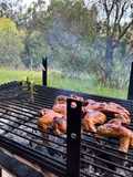 Alitas ahumadas a la parrilla (fácil)