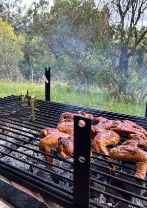 Una foto de Alitas ahumadas a la parrilla (fácil)