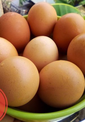A picture of Eggs!🥚.