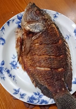 煎吳郭魚 的食譜成品照片