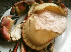 Una foto de Buey de mar relleno (Sapateira)