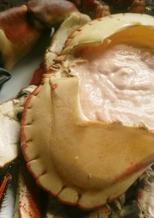 Una foto de Buey de mar relleno (Sapateira)