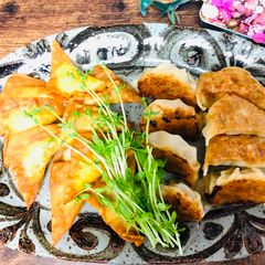 A picture of Tofu Gyoza Dumplings.