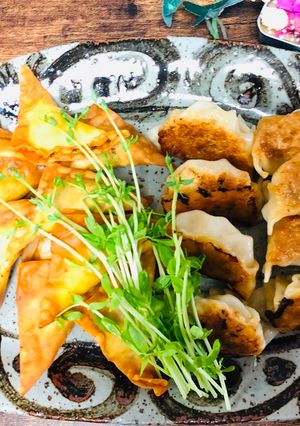 A picture of Tofu Gyoza Dumplings.