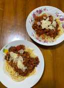 Bolognese