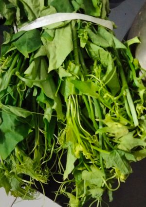 Foto resep Tumis Pucuk Daun Labu