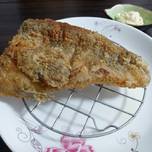 Fried Fish Grouper