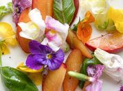 A picture of plum vinegar