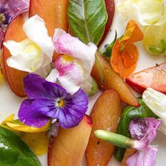 A picture of Plum Salad: A Summer Freshness 🍒.