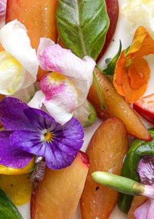 A picture of Plum Salad: A Summer Freshness 🍒.