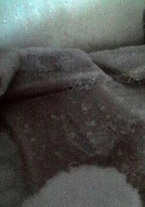 Foto resep Es gabus