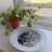 Bubur Kacang Hijau - Ketan Hitam