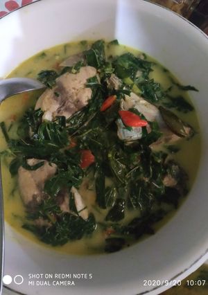 Foto resep Gulai santan kuning ikan tongkol daun singkong...