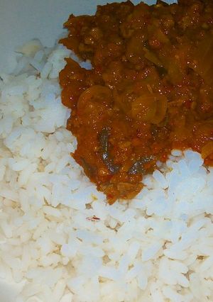 A picture of Rice with mince meat sauce.
