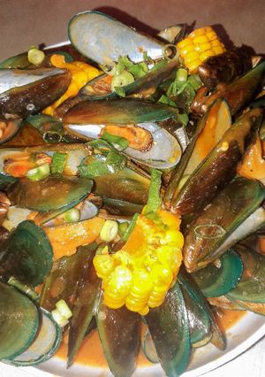 Foto resep Kerang Hijau Saus Padang