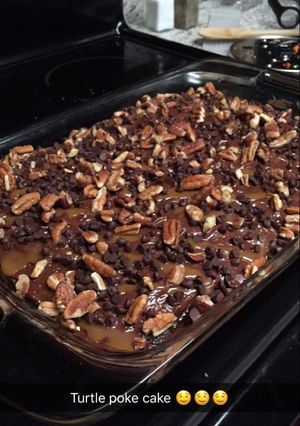 A picture of Turtle Poke Cake.