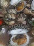 Tuday Saus Padang