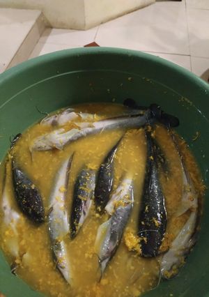 Foto resep Ikan Lele Goreng dengan Bumbu Kuning