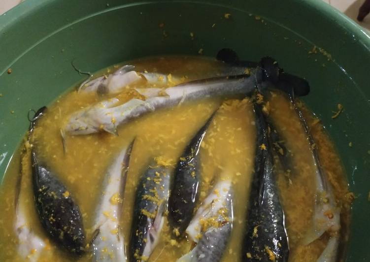 Ikan Lele Goreng dengan Bumbu Kuning