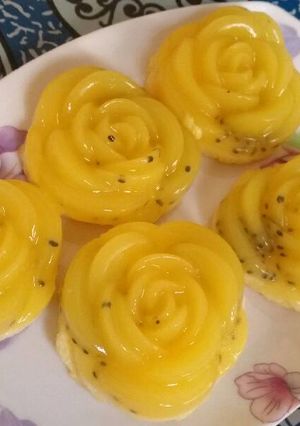 Foto resep Puding busa nutrisari