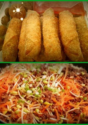 A picture of Spring rolls with ground beef and soy sprouts 😆.