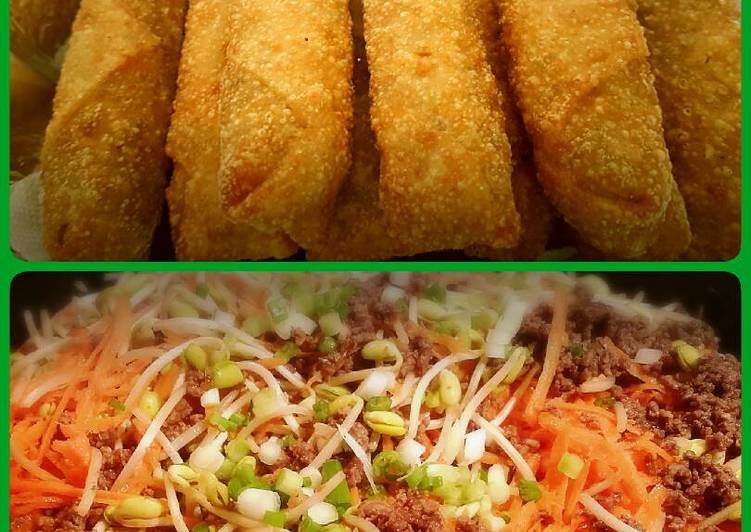 Spring rolls with ground beef and soy sprouts π