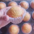 Muffins de mi abuela 🧓🏻🧁❤️