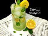 نوشیدنی فالوده بستنیsolmaz