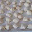 Ñoquis de papa