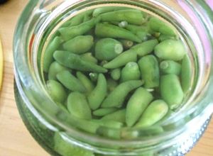 Foto resep Acar cabe rawit hijau