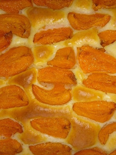 SĂĄrgabarackos joghurtos pite recept fotĂłja