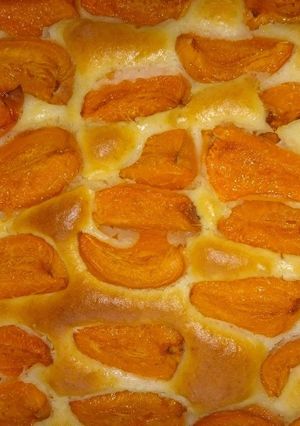 Sárgabarackos joghurtos pite recept fotója