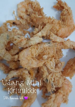 Foto resep Udang Mini Kriuukkk (Simple dan minim bahan)