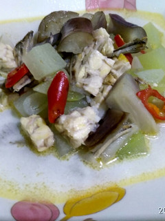 Foto resep Lodeh Ladzidz Bumbu Iris