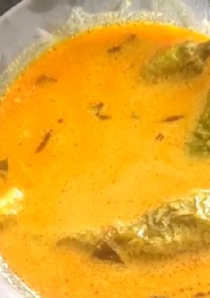 हैदराबादी मिर्ची का सालन (hyderabadi mirchi ka salan recipe in Hindi) रेसिपी मुख्य फोटो