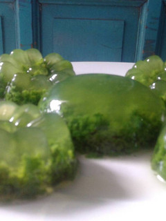 Foto resep Puding lumut simple
