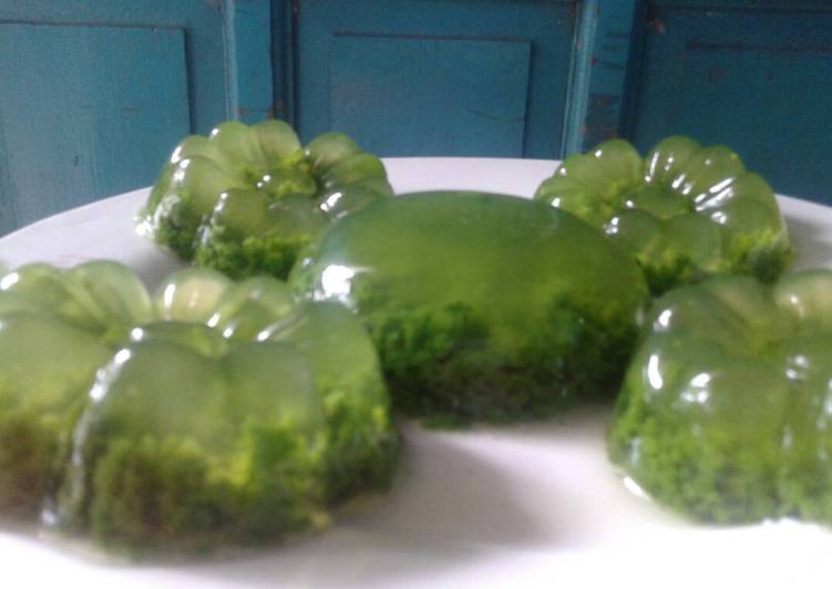 Puding lumut simple