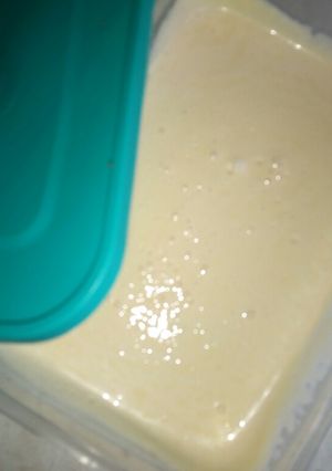 A picture of Sertou's homemade mayonnaise.