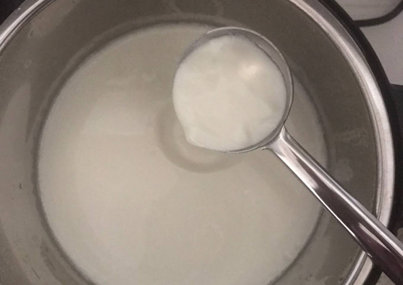 Instant Pot Curd