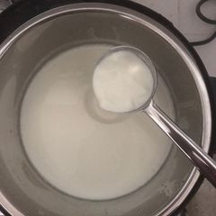 Instant Pot Curd A picture of Instant Pot Curd.