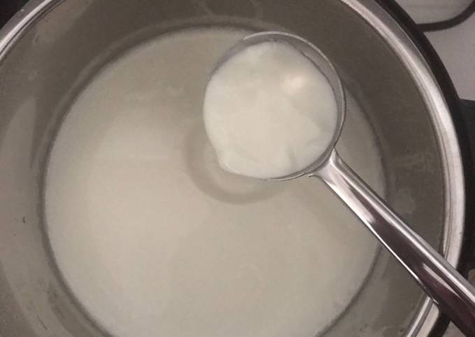 Recipe of Speedy Instant Pot Curd