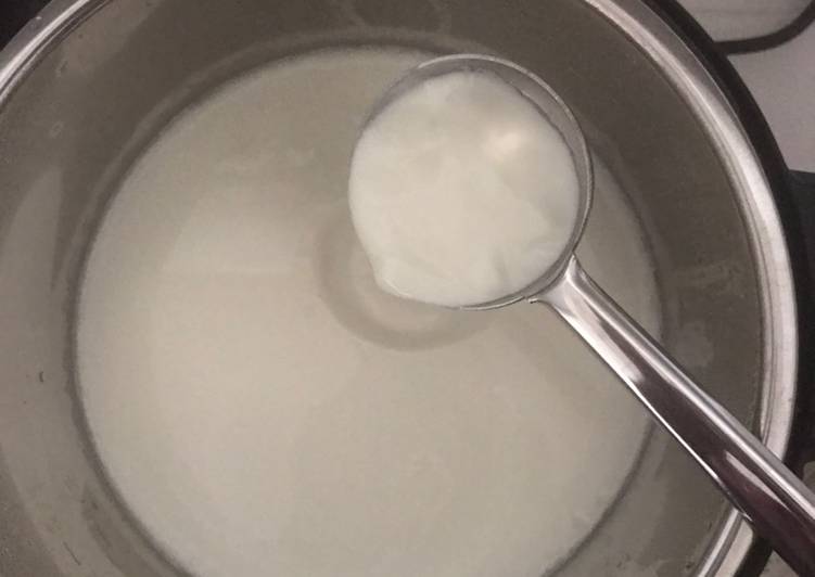 Recipe of Homemade Instant Pot Curd