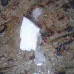 A picture of Bajre ki roti.