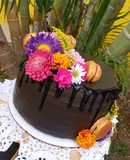 Shandu' Nanixhe