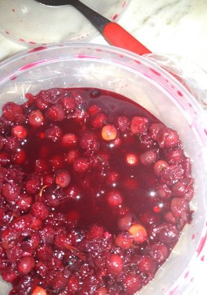 Foto resep Rujak buah buni