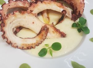 Foto di Tentacoli di polpo alla piastra, su letto di purea di patate