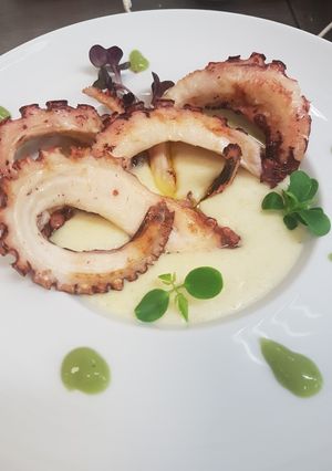 Foto di Tentacoli di polpo alla piastra, su letto di purea di patate